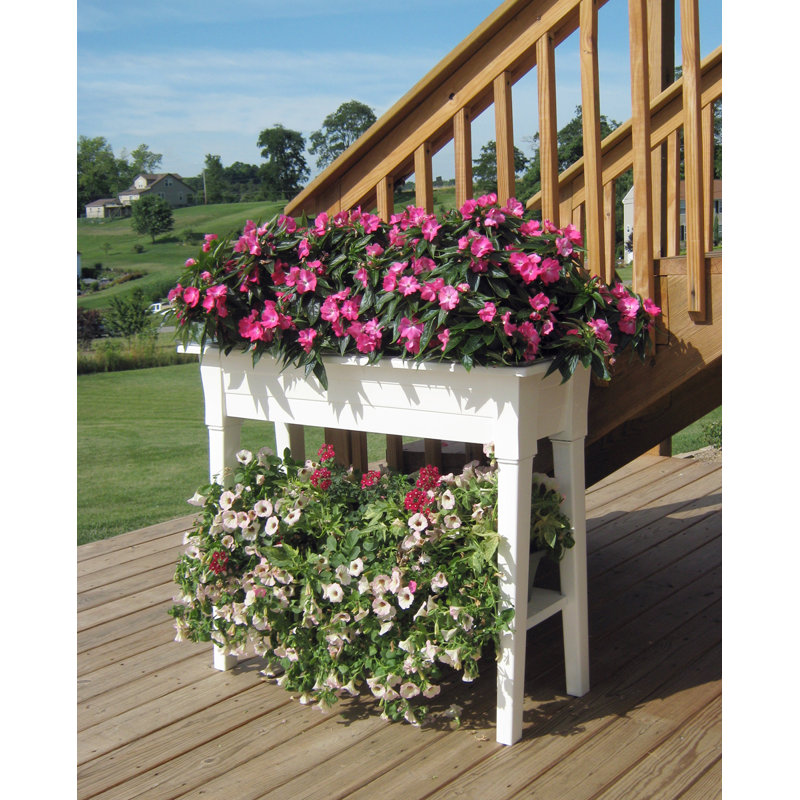 3 ft. x 1.5 ft. Raised Garden & Reviews | Joss & Main